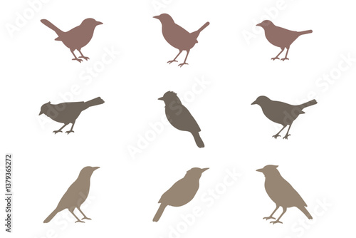 Myna Bird Silhouette Icon Set