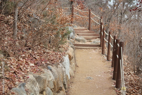 A beautiful hiking trail image on the way to Jangyu Falls.