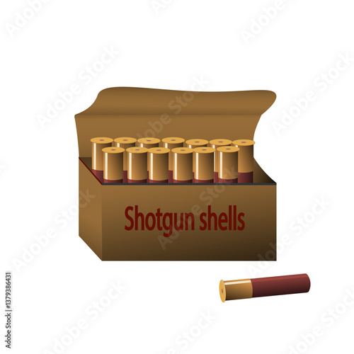Shotgun shells in an open box