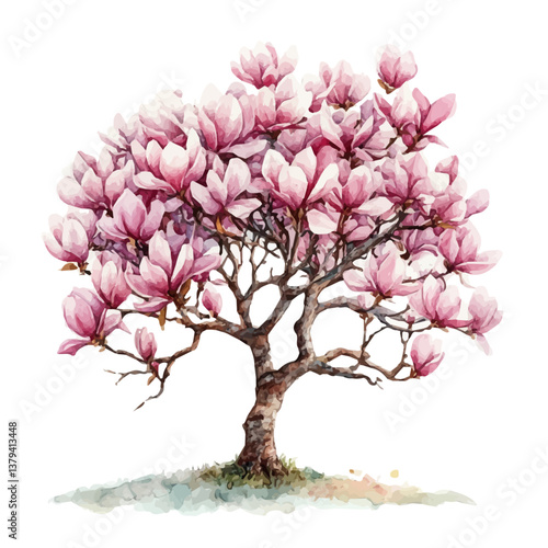 A watercolor vector painting of Magnolia tree, isolated on a white background.

