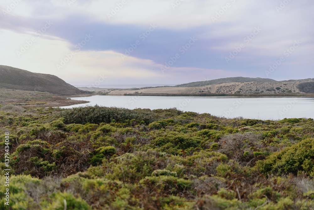 Coastal landscape in Abbotts Lagoon, Inverness, California, USA. A tranquil lagoon is surrounded by lush green vegetation and rolling hills, creating a serene natural scene. Coastal landscape in Abbotts Lagoon, Inverness, California, USA. A tranquil lagoon is surrounded by lush green vegetation and rolling hills, creating a serene natural scene.