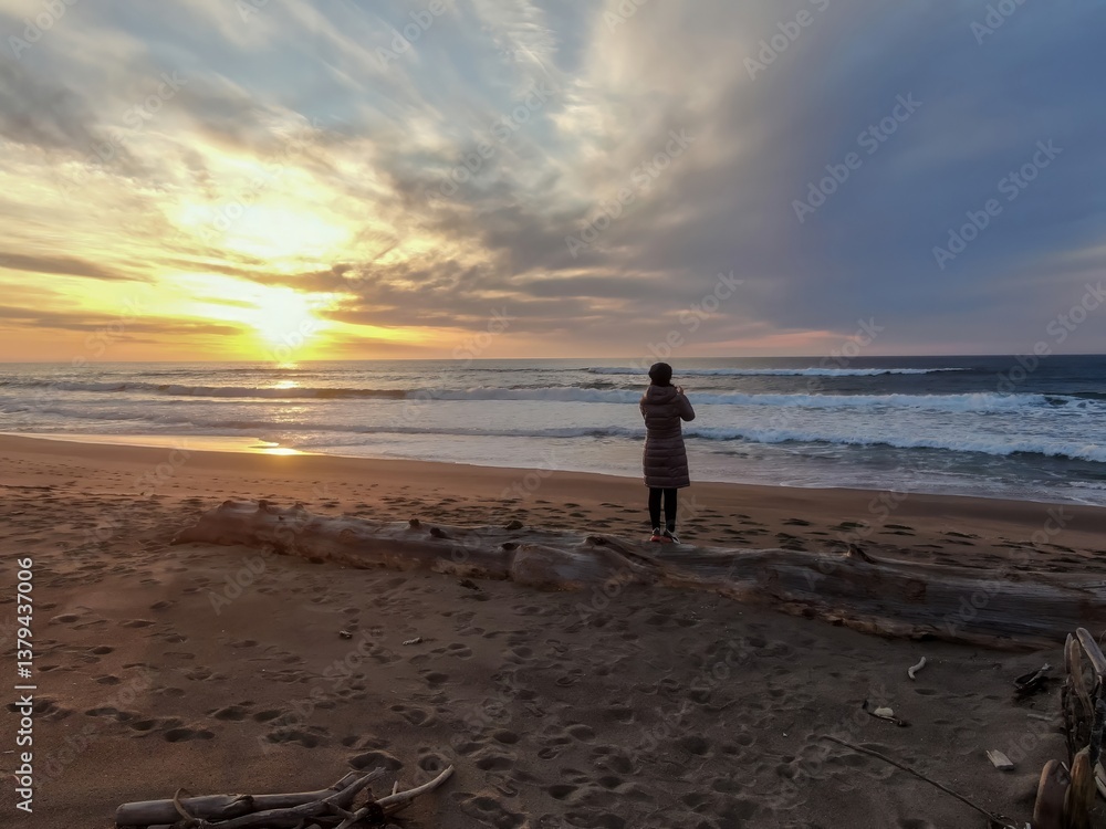 Naklejka premium A woman stands on driftwood at a beach in Point Reyes Beach, Inverness, California, USA, taking a photo of the sunset over the Pacific Ocean. She is enjoying the view and capturing the moment.