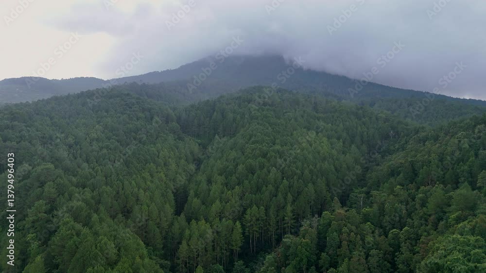 Panoramic view over the green mountains covered with rainforest in Indonesia. Panoramic view over the green mountains covered with rainforest in Indonesia.