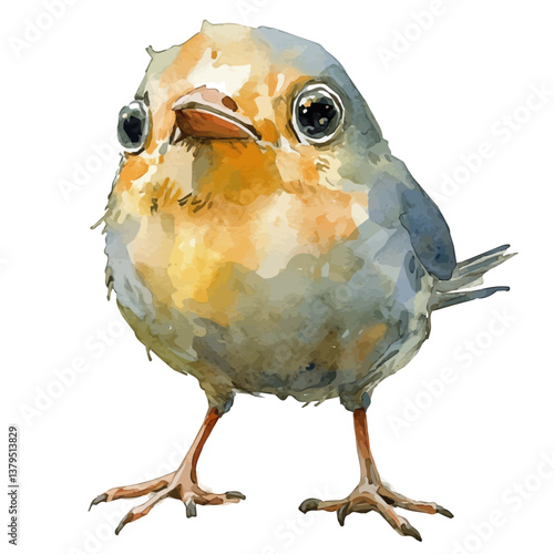A watercolor vector illustration of Puff Bird, isolated on a white background.

