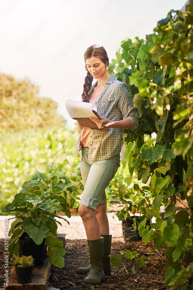 Woman, farmer and paper for crop business, checklist and review produce quality or development. Female person, agriculture and clipboard for farm report, ecology production and planning for growth Woman, farmer and paper for crop business, checklist and review produce quality or development. Female person, agriculture and clipboard for farm report, ecology production and planning for growth