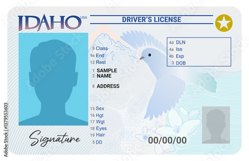 Idaho driver license isolated on white background. Person driver license
