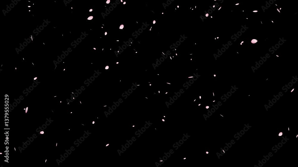 pink cherry blossom petals failing on black background, blossom flying particle animation, Cherry blossom flying loop animation, Pink cherry overly background, pink cherry blossom petals failing on black background, blossom flying particle animation, Cherry blossom flying loop animation, Pink cherry overly background,