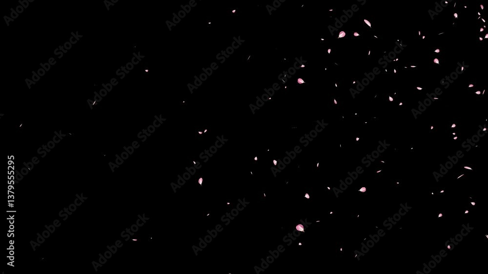 pink cherry blossom petals failing on black background, blossom flying particle animation, Cherry blossom flying loop animation, Pink cherry overly background, pink cherry blossom petals failing on black background, blossom flying particle animation, Cherry blossom flying loop animation, Pink cherry overly background,