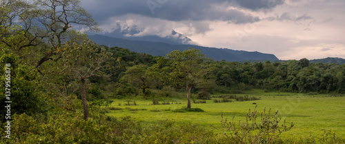 Canvas Print Scenic panoramic landscape of Arusha national park in Tanzania.