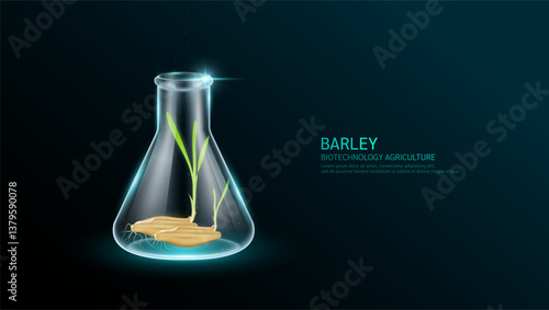 Green barley seedling emerging from seeds in transparent beaker glass triangle test tube. Plant rice growth genetic experiment. Scientific biotechnology in cultivation agriculture industry. Vector.