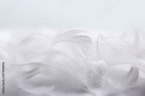 Heap of Soft White Bird Feathers. Fluffy Downy, Swan Feathers. Softness of Feathers, Details of White Textured. 