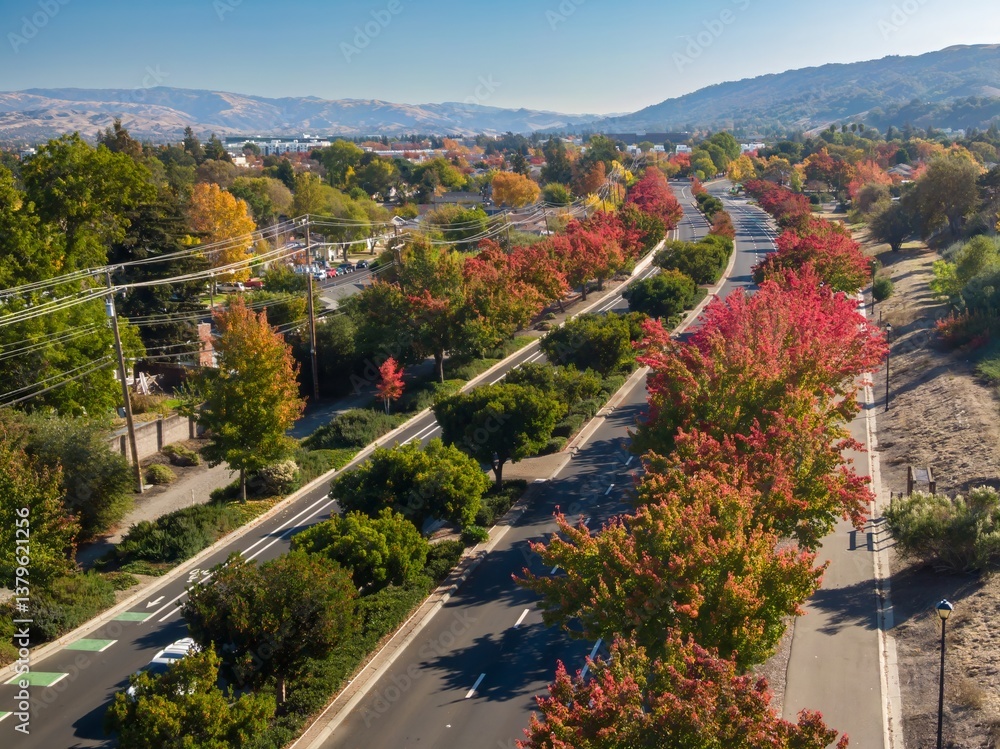 Fototapeta premium Aerial view of a suburban neighborhood in Dublin, California, USA, during autumn. Cars drive on a tree-lined street with colorful fall foliage.