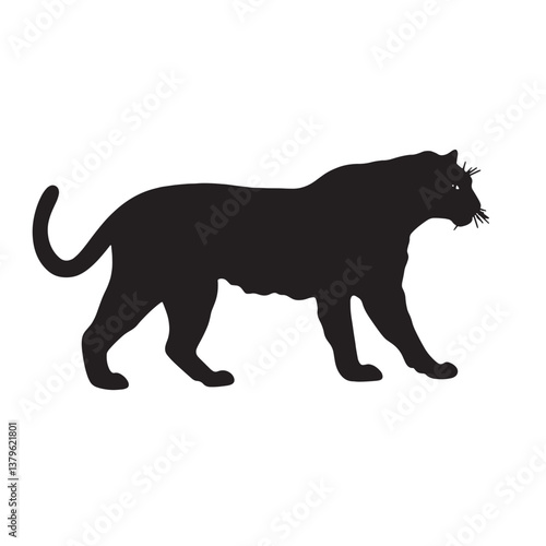 Wild vector silhouette illustration of lion and leopard predators, isolated black mammals