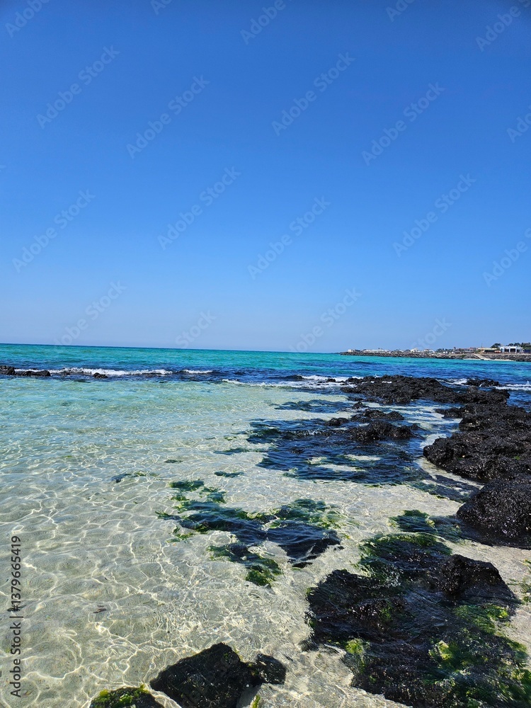 jeju jeju
