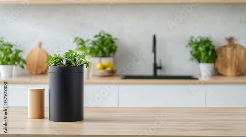 Stylish Kitchen Interior: A...