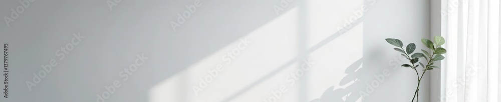 A minimalistic light gray wall for virtual meetings, empty room, color A minimalistic light gray wall for virtual meetings, empty room, color