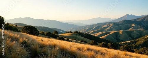 Beautiful landscape of Rancho Sierra Vista in the Santa Monica Mountains, Ventura County, California,  scenery,  national park