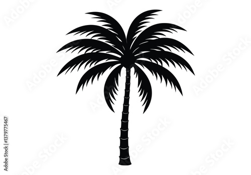 coconut tree silhouette  isolated on white background