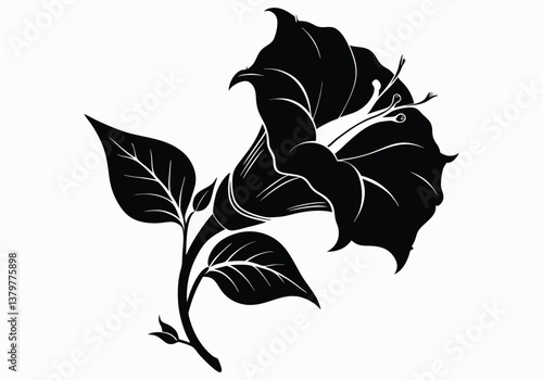 datura flower silhouette  isolated on white background