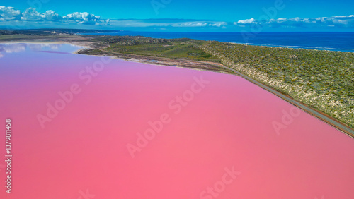 Obraz na płótnie Vibrant pink hues of Hutt Lagoon captured from above, a natural wonder in Western Australia w salonie