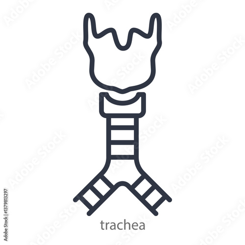 Trachea and larynx line icon. Editable Strokes. Vector illustration.