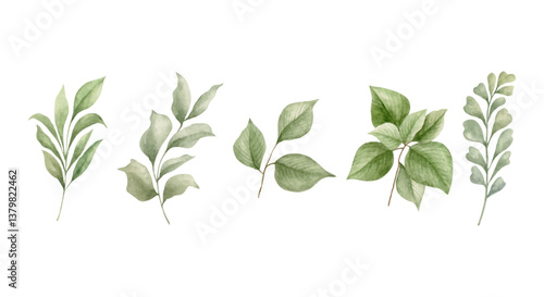 Fresh herbs set isolated on a white background