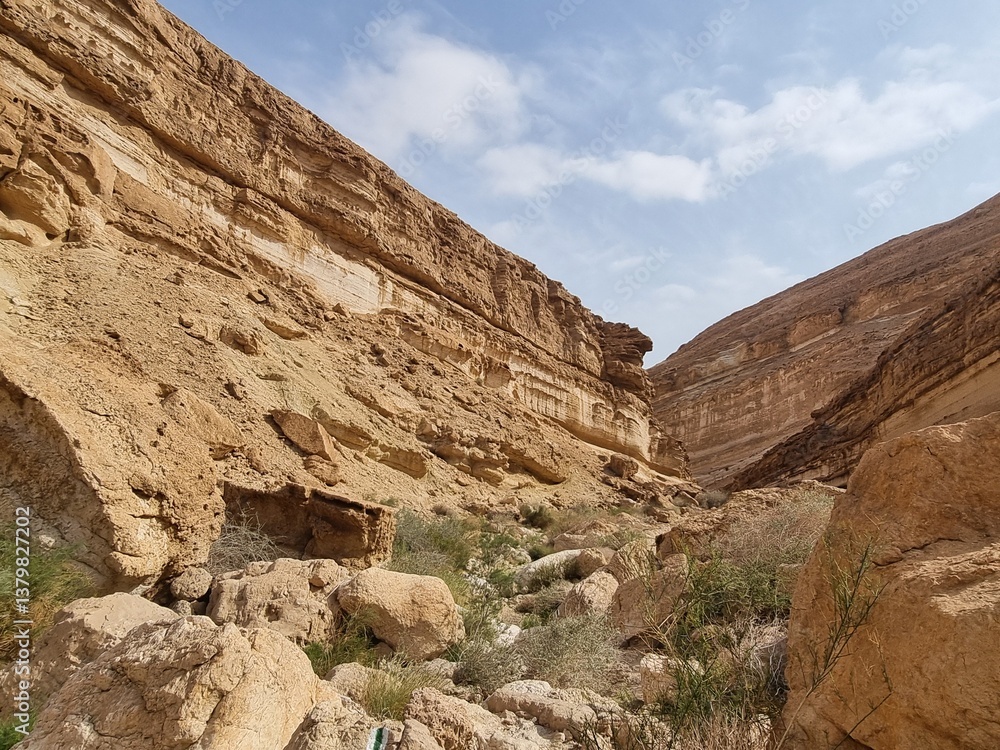 Gorge of the Gov stream . Israel Gorge of the Gov stream . Israel
