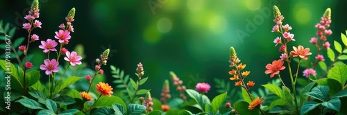 Delicate ferns and wildflowers in a lush arrangement, nature, plants, leaves