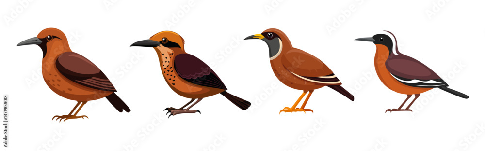 panorama illustration of brown birds set vector icon design
