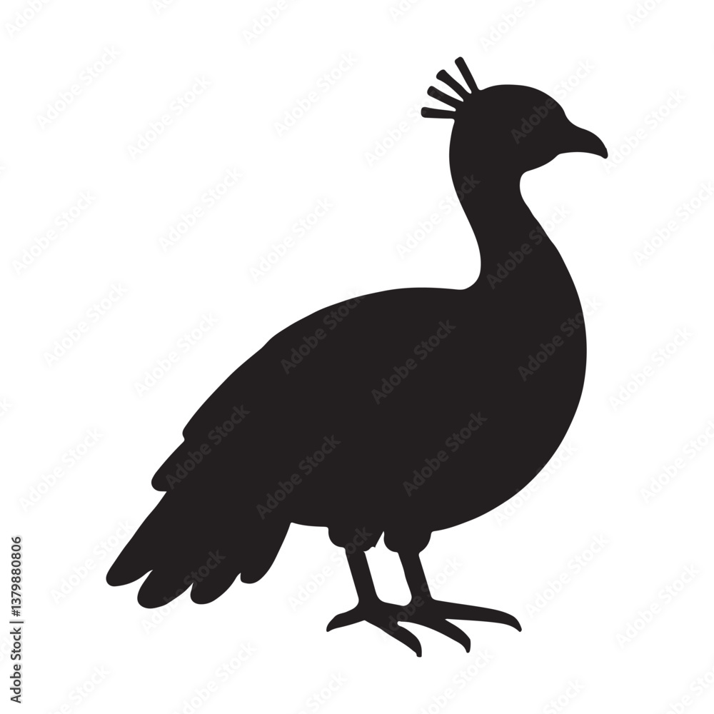 Obraz premium Silhouette Peacock Logo isolated Vector illustration
