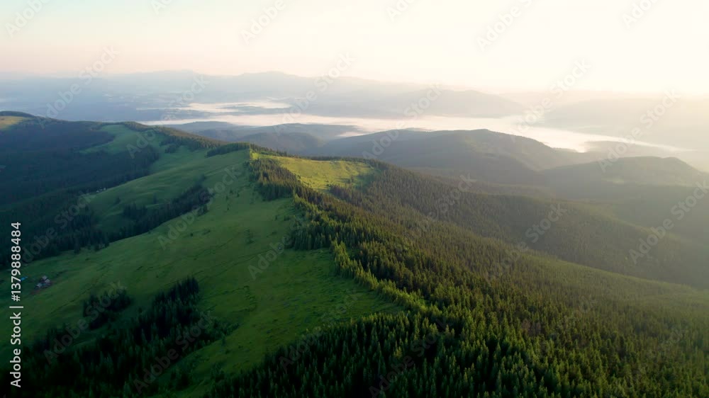 Aerial view of vast, forested landscape under clear blue sky. Rolling green hills stretch into distance, with clearing in foreground. Misty valleys and distant mountains create serene scene. Aerial view of vast, forested landscape under clear blue sky. Rolling green hills stretch into distance, with clearing in foreground. Misty valleys and distant mountains create serene scene.