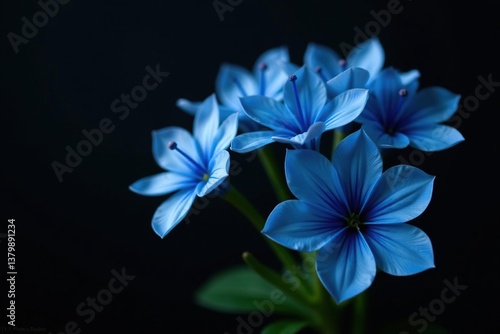 Blue flower bouquet featuring a mix of vibrant blue flowers on a dramatic black background, vibrant, beautiful