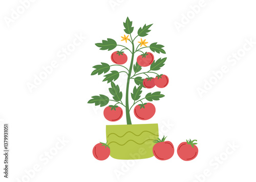 Tomato bush in flower pot isolated on white background. Gardening and harvest concept. Vector hand drawn clipart.