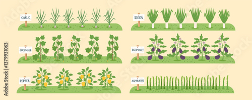 Gardening and farming concept banner. Nature background with beds of vegetables. Regenerative and sustainable farming concept. Vegetable cliparts. Vector flat background. 