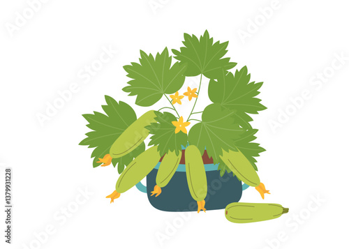 Zucchini bush in flower pot isolated on white background. Gardening and harvest concept. Vector hand drawn clipart.