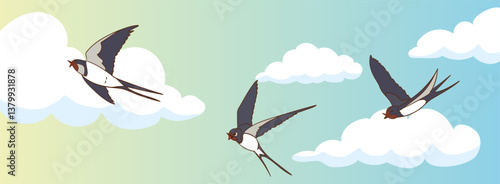 swallow bird flying in the sky.flying swallow birds vector illustration