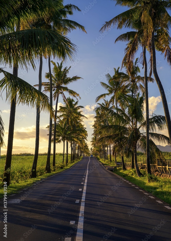 Obraz premium A picturesque road lined with tall palm trees in Bel Ombre, Mauritius, bathed in warm sunset light, with lush greenery and distant mountains in the background.