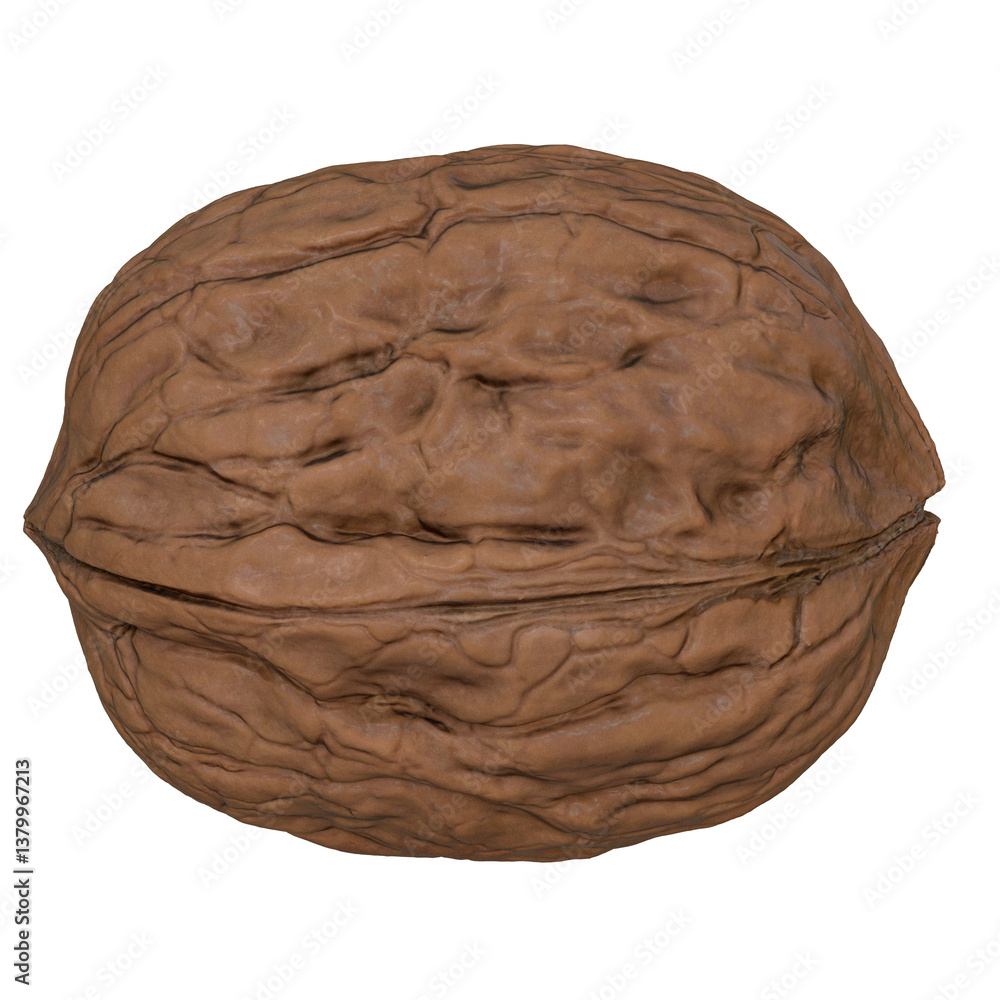 Obraz premium wallnut image