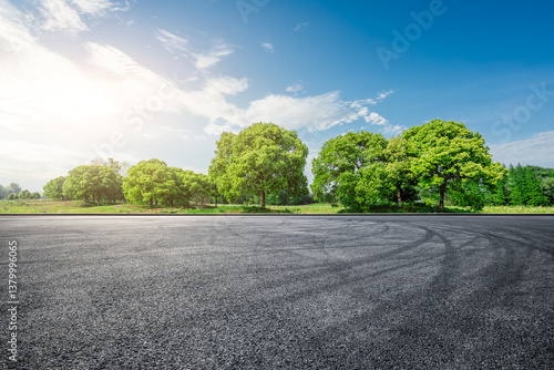 Obraz na płótnie Asphalt race track ground with tire marks and green trees nature landscape w salonie