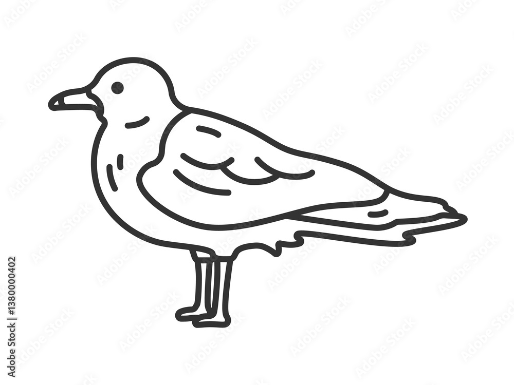 Fototapeta premium カモメ（線画）のイラスト