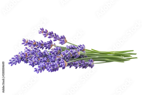 A delicate bunch of lavender flowers beautifully arranged on a soft, light background