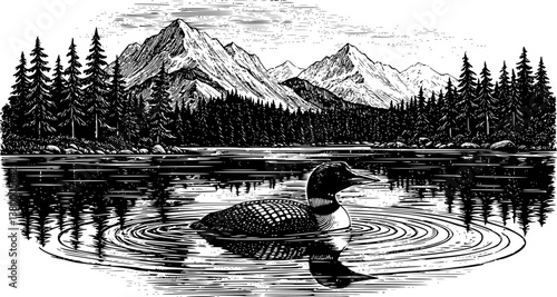 loon on a lake with a mountainous background engraving black and white outline
