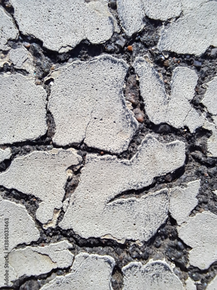 Obraz premium Asphalt macro photography 