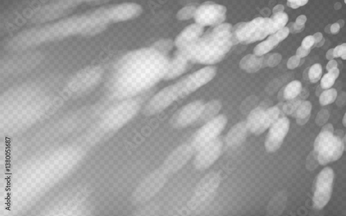 Abstract shadow overlay from foliage on a transparent background.