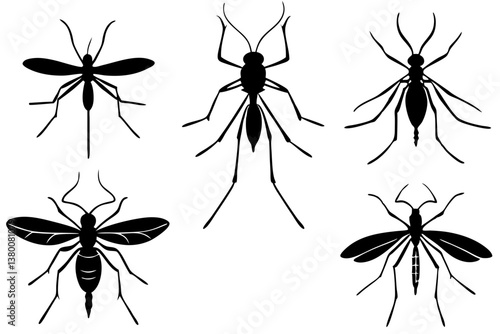 set of Mosquitoes silhouette vector illustration
