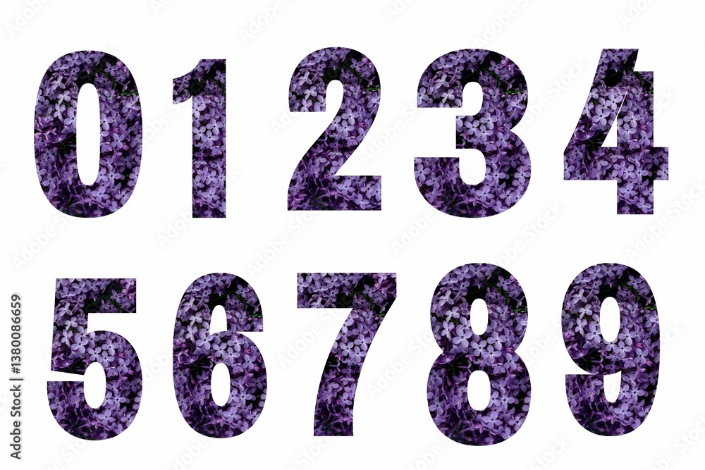 Spring flowers NUMBERS from 0 to 9. Spring flowers NUMBERS from 0 to 9 illustration vector. Spring Numbers Spring flowers NUMBERS from 0 to 9. Spring flowers NUMBERS from 0 to 9 illustration vector. Spring Numbers