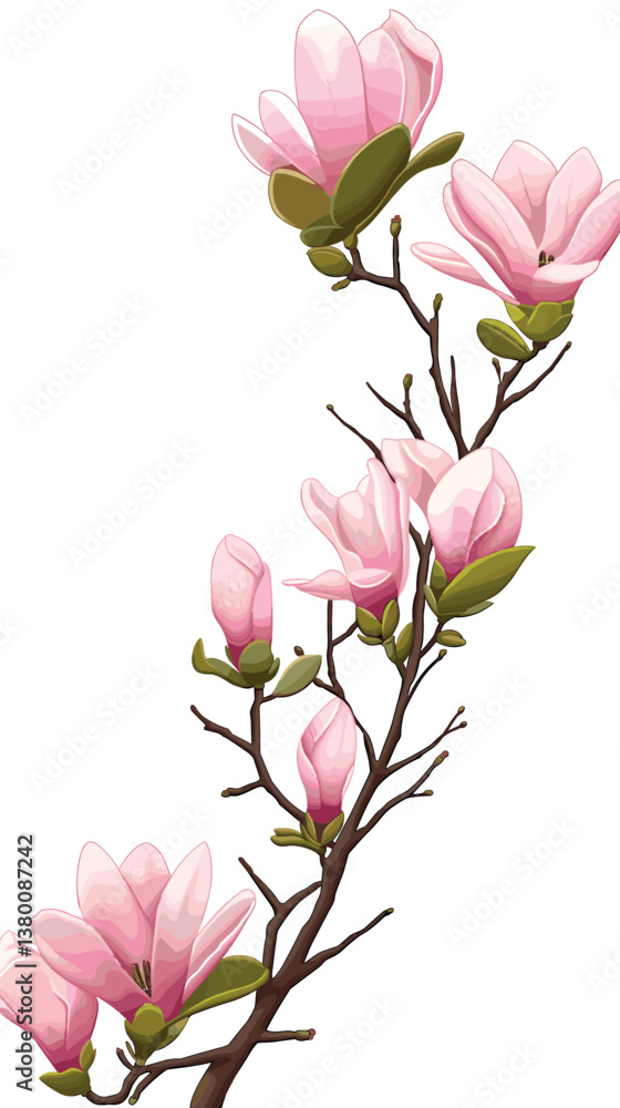 Fototapeta premium Elegant pink magnolia branch with blossoms and buds isolated on white background flat vector illustration