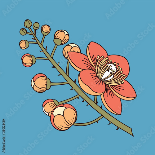Cannonball flower vector Illustrator Artwork