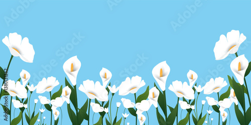 collection of Spring cards or posters set with wild white flowers, Narcissus flower, Crocus flowers. Floral art banner templates for Mothers Day, Womens Day, birthday, Easter decor and spring holiday.