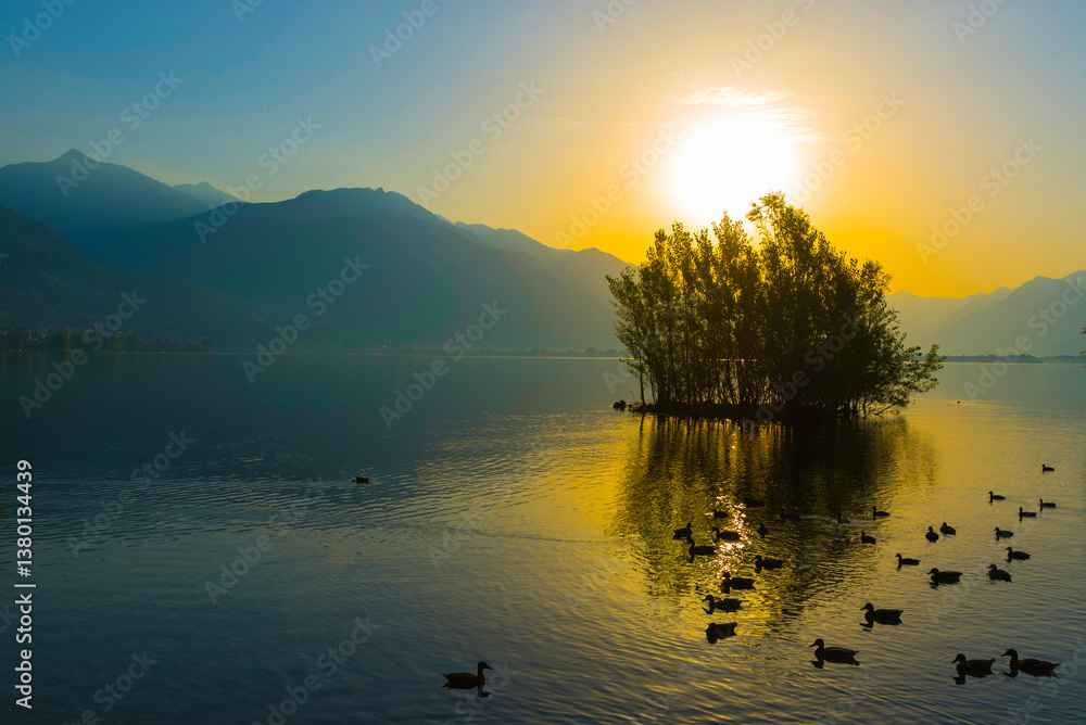 Φωτογραφία Alpine Lake Maggiore with Mountain and an Island and Ducks in Sunset in Locarno, Switzerland
